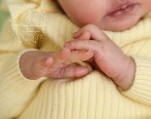 Lataa kuva galleriaan