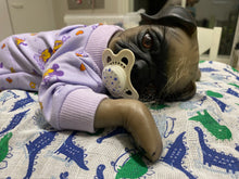 Lataa kuva galleriaan