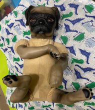 Lataa kuva galleriaan