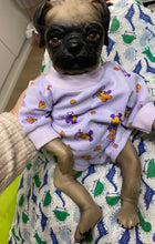 Lataa kuva galleriaan