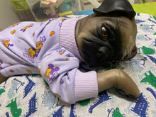 Lataa kuva galleriaan