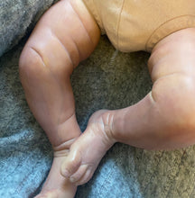 Lataa kuva galleriaan