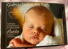 Lataa kuva galleriaan