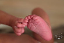 Lataa kuva galleriaan