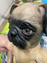 Lataa kuva galleriaan