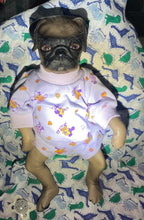 Lataa kuva galleriaan