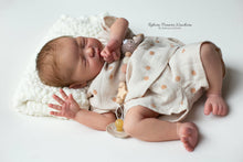 Lataa kuva galleriaan