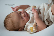 Lataa kuva galleriaan