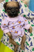 Lataa kuva galleriaan