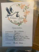 Lataa kuva galleriaan