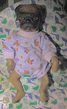 Lataa kuva galleriaan