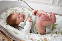 Lataa kuva galleriaan