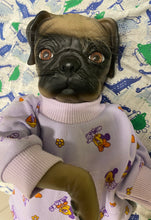 Lataa kuva galleriaan