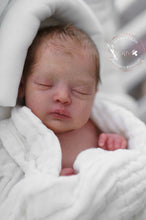 Lataa kuva galleriaan