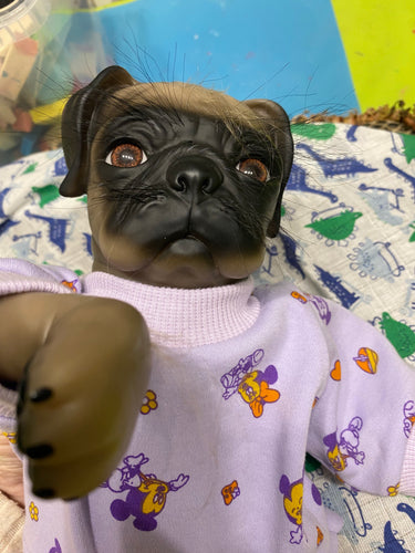 Koiravauva Princess Pug Dog