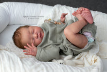 Lataa kuva galleriaan