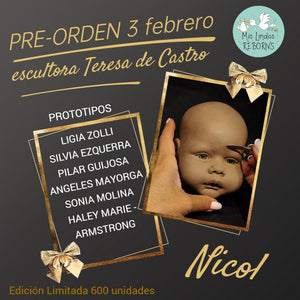 Nicol by Teresa De Castro